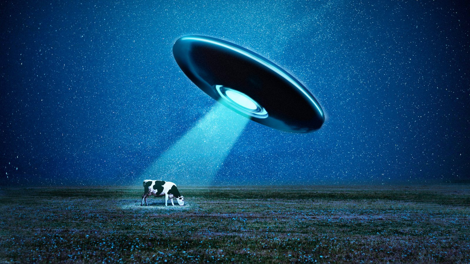 astral-wallpapers-composition-with-ufo-cow astral-wallpapers-composition-with-ufo-cow